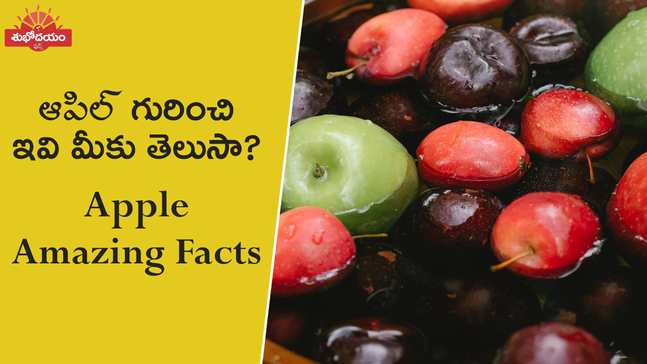 Apple Fruit Amazing Facts