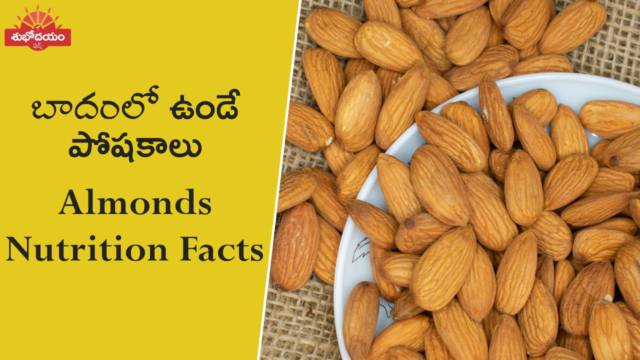 Unveiling the Nutritional Power of Almonds: Almonds Nutrition Facts