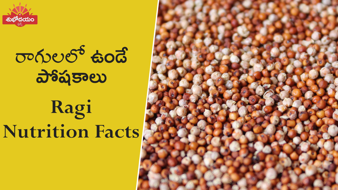 Ragi: The Nutritional Powerhouse - Health Benefits and Facts