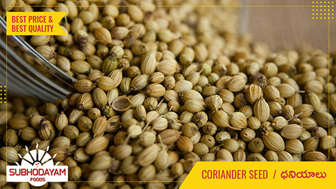 Coriander Seed