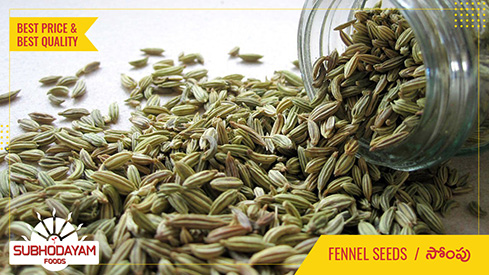 Fennel Seeds