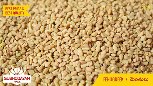 Fenugreek