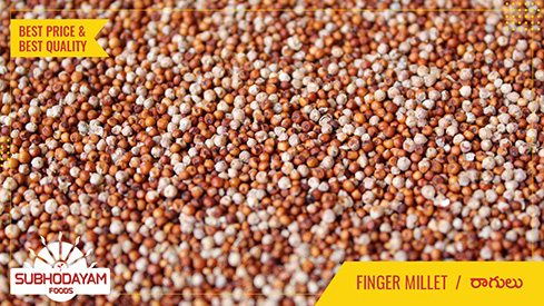 Finger Millet