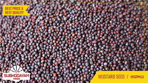 Mustard Seeds